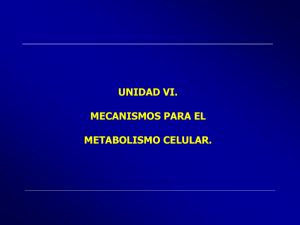 Diapositiva 1 - plataforma quimicas paec
