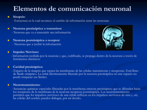 Elementos de comunicación neuronal