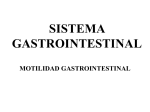 MOTILIDAD GASTROINTESTINAL