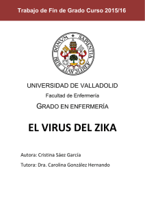 el virus del zika