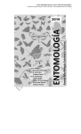 Bajar PDF Anexo de Morfología Externa e Interna 2015