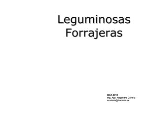 Leguminosas Forrajeras