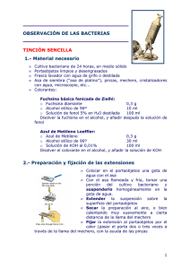 OBSERVACI&Oacute;N DE LAS BACTERIAS TINCI&Oacute;N SENCILLA 1