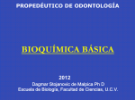 Bioquimica Basica Unidad V