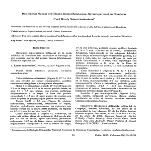 Dos Plantas Nuevas del Género Zamia (Zamiaceae