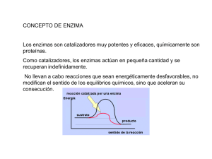 Diapositiva 1 - Web del Profesor
