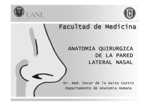 Anatomía quirúrgica de la pared lateral nasal