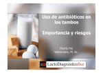Uso de antibióticos en los tambos Importancia y riesgos