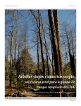 Árboles viejos y muertos en pie - Red de Observadores de Aves y