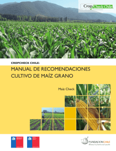 manual de recomendaciones cultivo de maíz grano