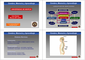 Cerebro, Memoria y Aprendizaje