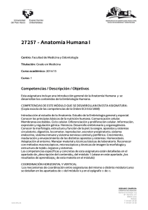 27257 - Anatomía Humana I
