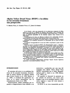 Barley Yellow Dwarf Virus