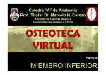 Diapositiva 1 - Universidad Nacional de La Plata