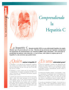 La hepatitis C, Comprendiendo