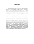 Resumen (archivo pdf, 8 kb)