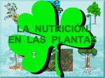 la nutrición de las plantas