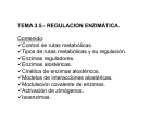 Tema 3.5 Regulación enzimatica