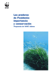 Las praderas de Posidonia: Importancia y conservación