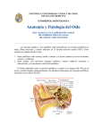 Anatomía y Fisiología del Oído - Figure B