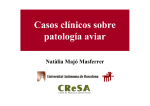 Casos clínicos sobre patología aviar p g - AECA