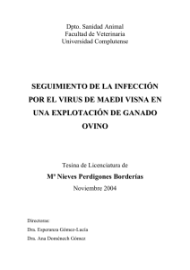 seguimiento de la infección por el virus de maedi visna en una