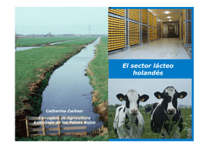 El sector l&aacute;cteo holand&eacute;s