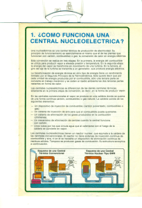 Central Nuclear