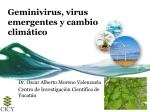 Geminivirus, virus emergentes y cambio climático
