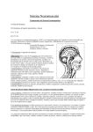 Teórico Sistema Neuromuscular - Facultad de Odontología