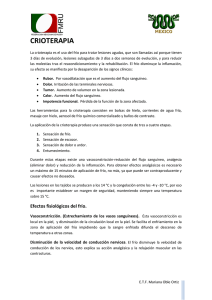 Documento de Apoyo a Recuperación. Escrito por E.T.F. Mariana
