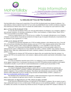 La Infección del Virus del Nilo Occidetal | MotherToBaby