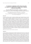 Crecimiento de plántulas de Brachiaria brizantha en respuesta a la