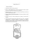 Trabajo Práctico Nº 1 Sistema circulatorio