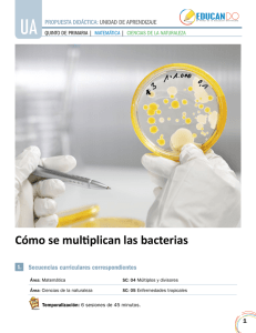 Cómo se multiplican las bacterias