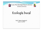 3-ECOLOGIA BUCAL-2010 - U