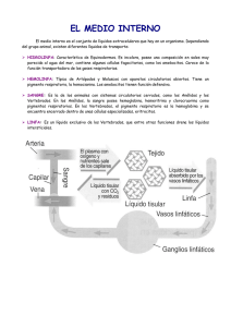 tipos de aparatos circulatorios