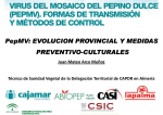 04 - PepMv evolución provincial y medidas preventivo culturales