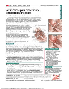 Antibióticos para prevenir una endocarditis infecciosa La