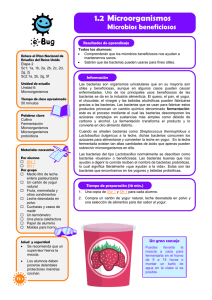 1.2 Microorganismos - e-Bug