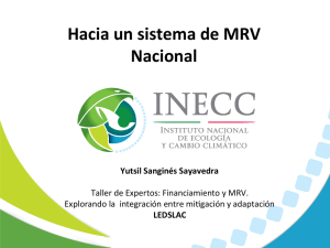 Hacia un sistema de MRV Nacional
