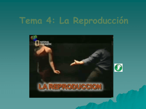 Diapositiva 1 - El IES “Carlos Álvarez”