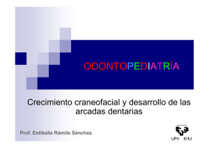 TEMA 7_Crecimiento craneofacial y desarrolo de las - EHU-OCW