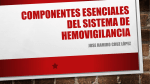 Componentes esenciales del Sistema de