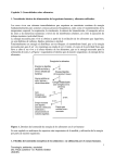 1 1 Capítulo 2. Generalidades sobre alimentos. 1. Necesidades