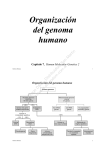 Código genético del genoma nuclear y