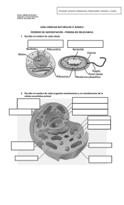 Guías de estudio Cs. Naturales 8° Básico
