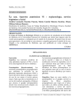 La cara. Aspectos anatómicos VI – esplacnología, nervios trigémino