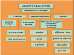 Diapositiva 1 - Liceo Sagrado Corazón