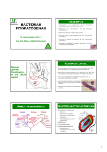 bacterias fitopatógenas